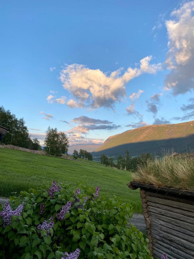 Villa Kufjoset Skjåk Esterno foto